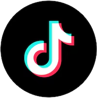 ibogaine by brad and caroline tiktok group