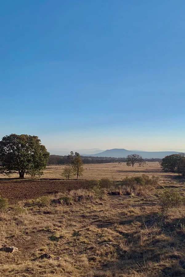 insight ibogaine retreat by Brad and Caroline Rancho Los Siete Querétaro Mexico Rancho Los Siete Querétaro Mexico mountain view