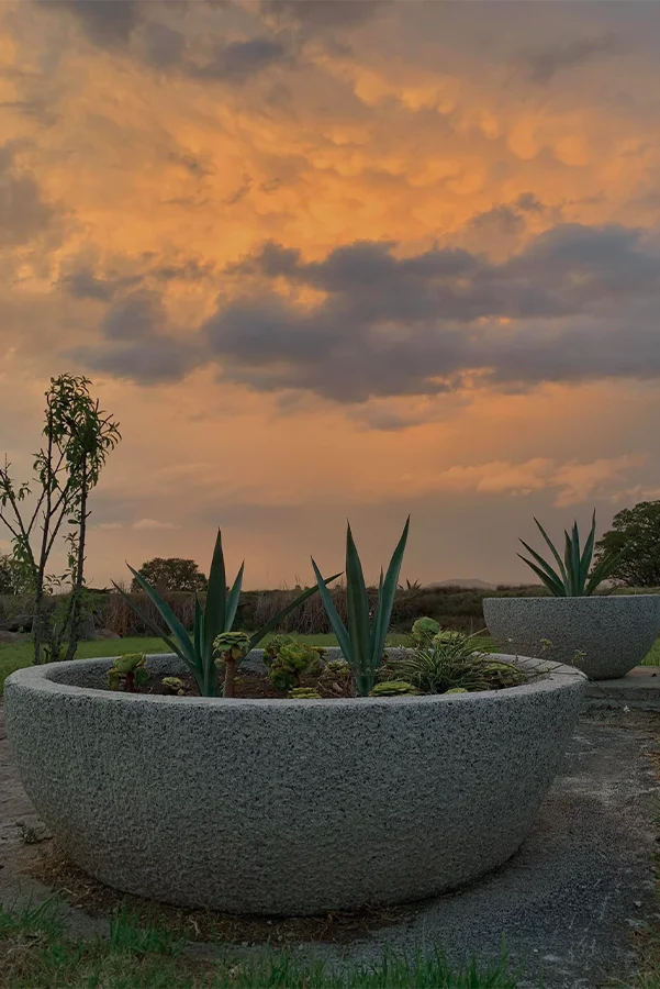 insight ibogaine retreat by Brad and Caroline Rancho Los Siete Querétaro Mexico Rancho Los Siete Querétaro Mexico views